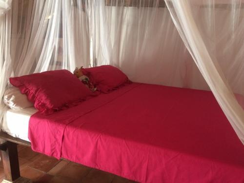 Денпасар: Sanur Bed and Brunch