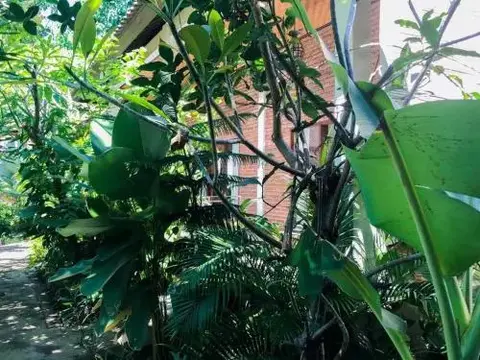 Пурвакерти: Solaluna Beach Homestay