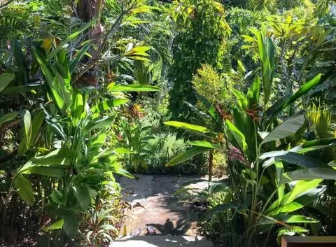 Пурвакерти: Solaluna Beach Homestay