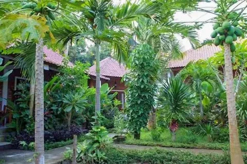 Пурвакерти: Solaluna Beach Homestay