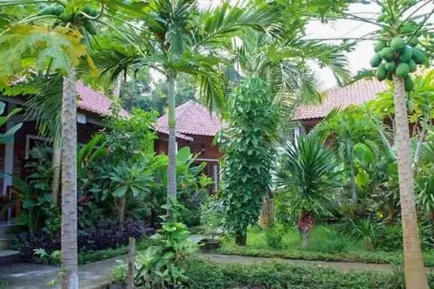 Пурвакерти: Solaluna Beach Homestay