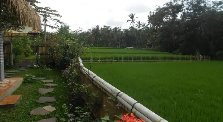 Убуд: Villa Jasmine B&B