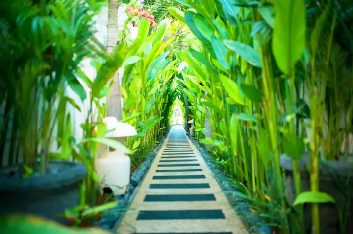 Кута: Awila Villa Kuta