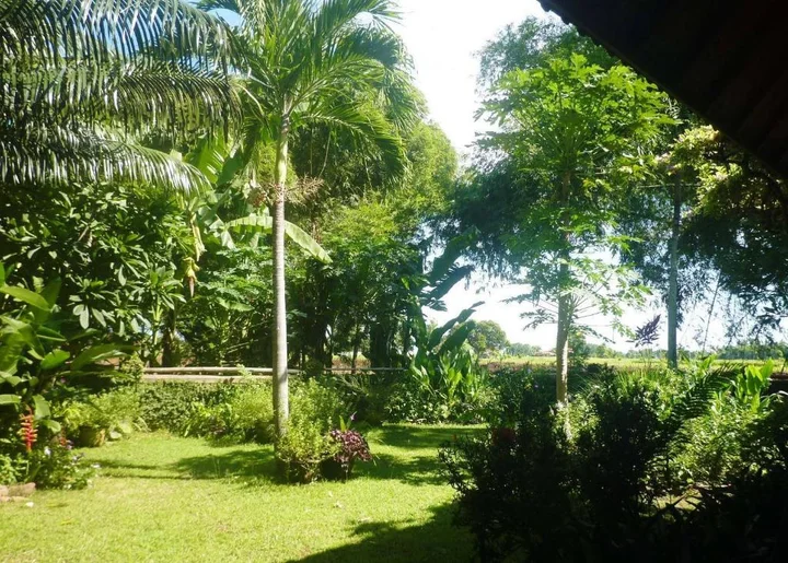 Каликбукбук: Saraswati Holiday House