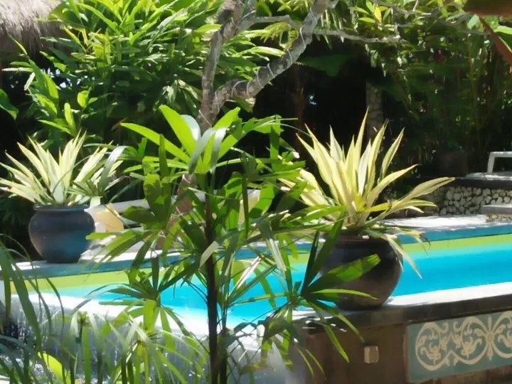 Чангу: Oasis Canggu Bali