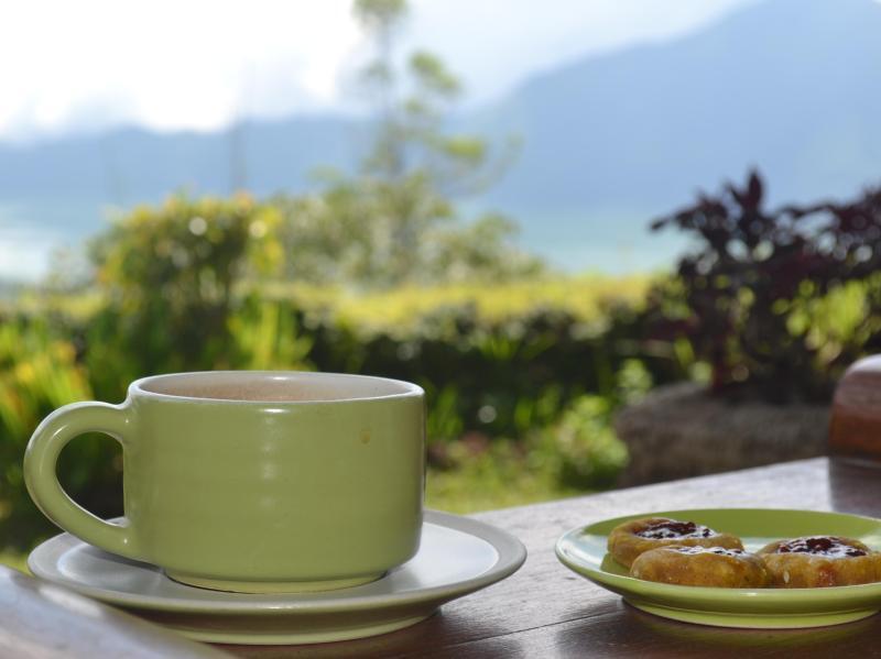 Кинтамани: Kintamani Backpackers @ Lakeview