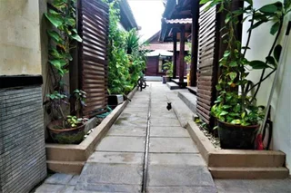 Гили Траванган: Drupadi Bungalows