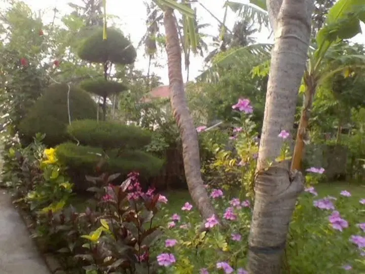 Гили-Мено: Tropicana Bungalows