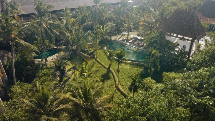 Убуд: Отель Alaya Resort Ubud