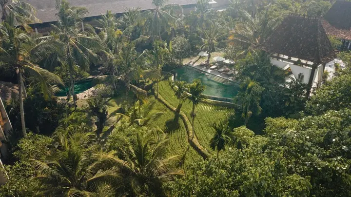 Убуд: Отель Alaya Resort Ubud