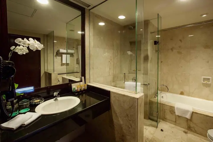 Палембанг: The Arista Hotel