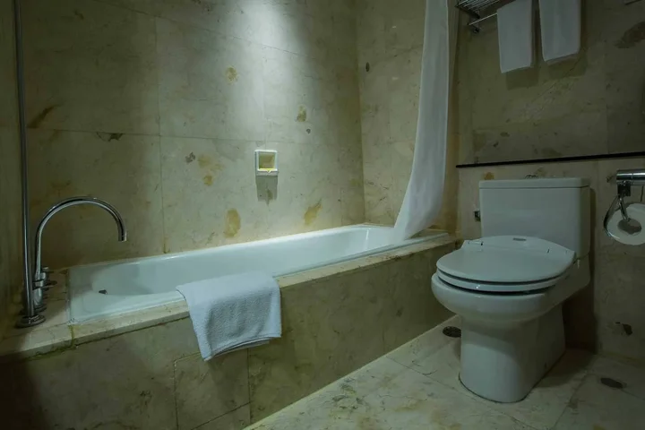 Палембанг: The Arista Hotel