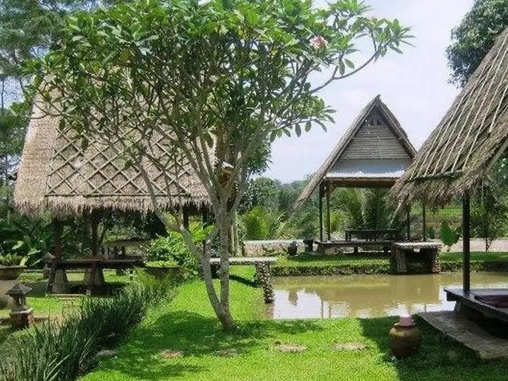 Desa Sawah Restoran & Villa — фото 1