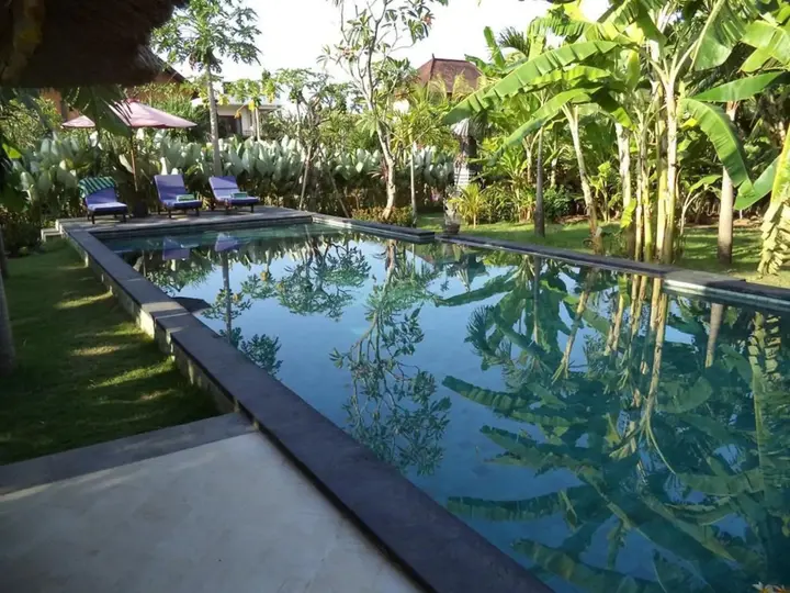 Бунутан: Pazzo Bali