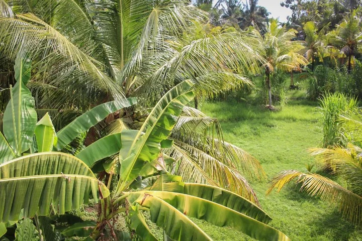 Селемадег: Balian Surf Villas