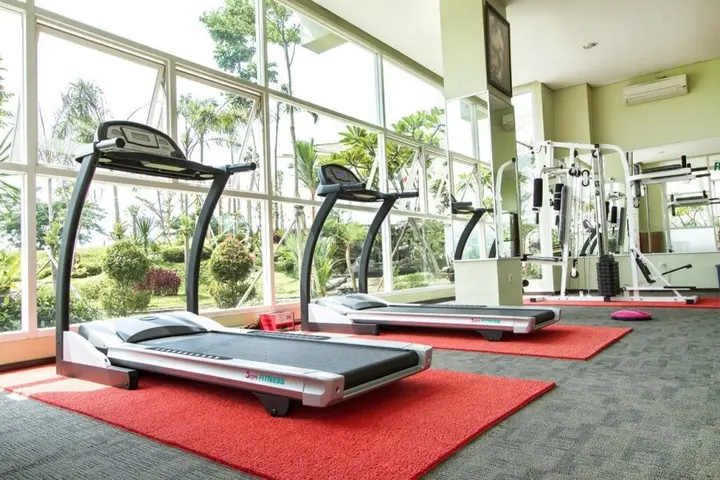 Сукарайя: Lorin Sentul Hotel