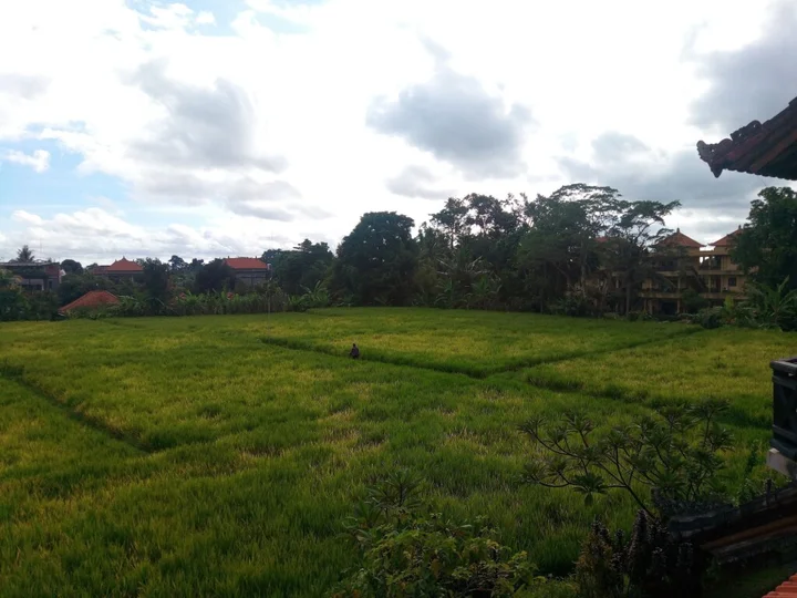 Убуд: Kun - Kun Guest House Ubud