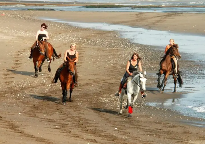 carousel image 5