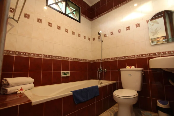 Денпасар: Sanur Seaview Hotel