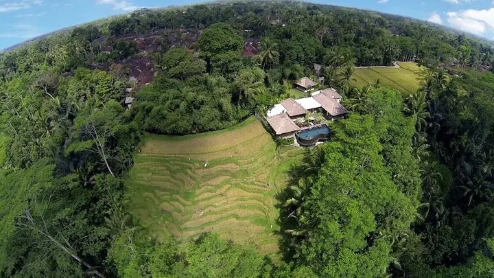 Тегаллаланг: Villa Amrita