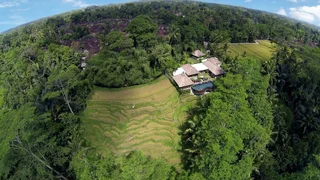 Тегаллаланг: Villa Amrita