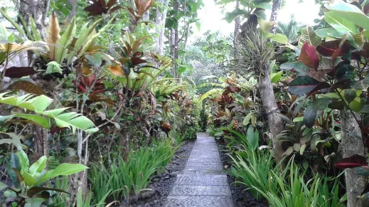 Селемадег: Pondok Pisces Bungalows