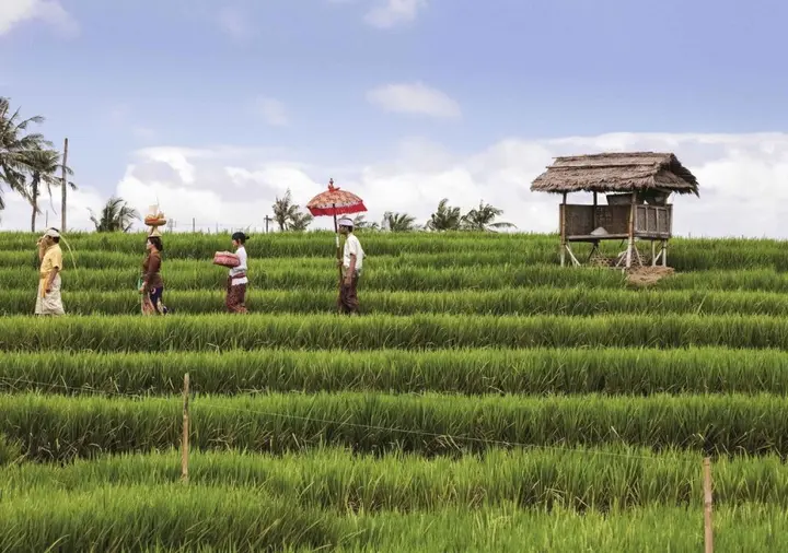 Денпасар: ibis Styles Bali Denpasar