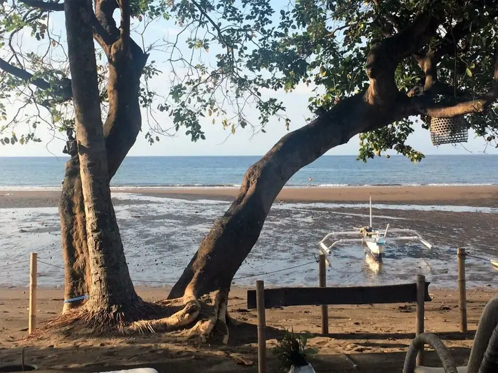 Умеаньяр: Lilin Lovina Beach Hotel