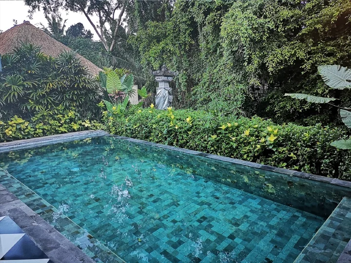 Убуд: Villa Nirvana