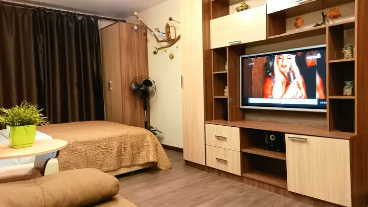 Подсолнух у Моря — фото 3