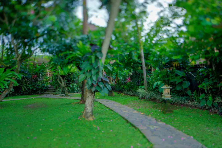 Убуд: Курортный отель Alas Petulu Cottages