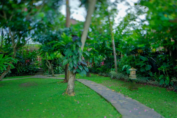 Убуд: Курортный отель Alas Petulu Cottages