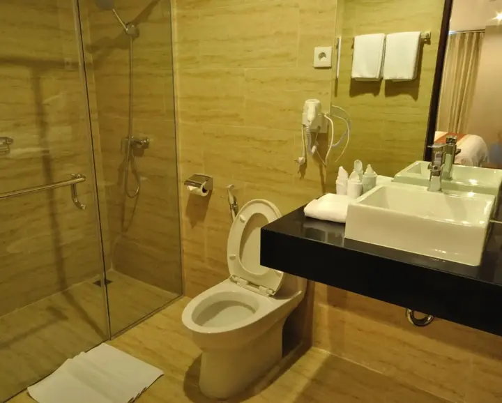 Медан: Hermes Palace Hotel Medan