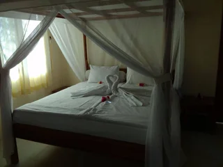 Каликбукбук: Starlight Hotel Lovina