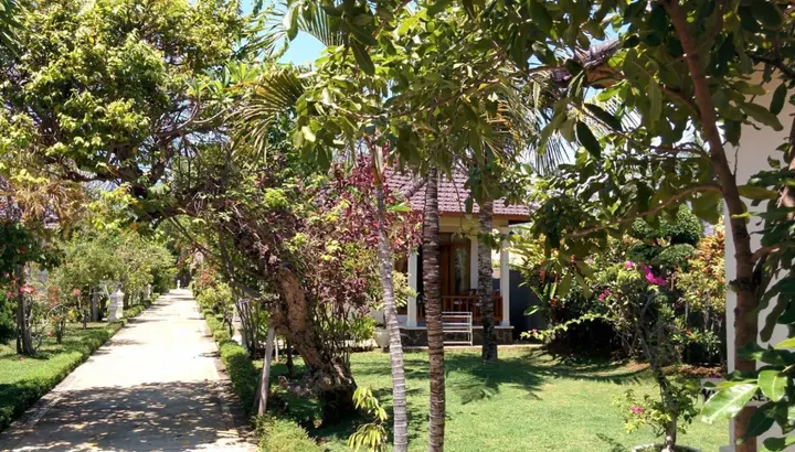 Каликбукбук: Starlight Hotel Lovina