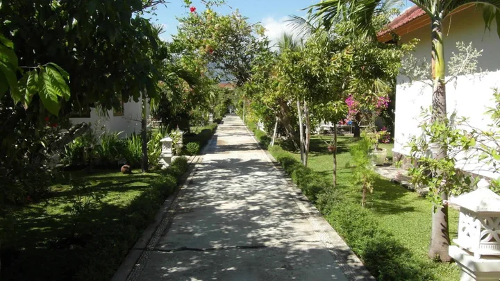 Каликбукбук: Starlight Hotel Lovina