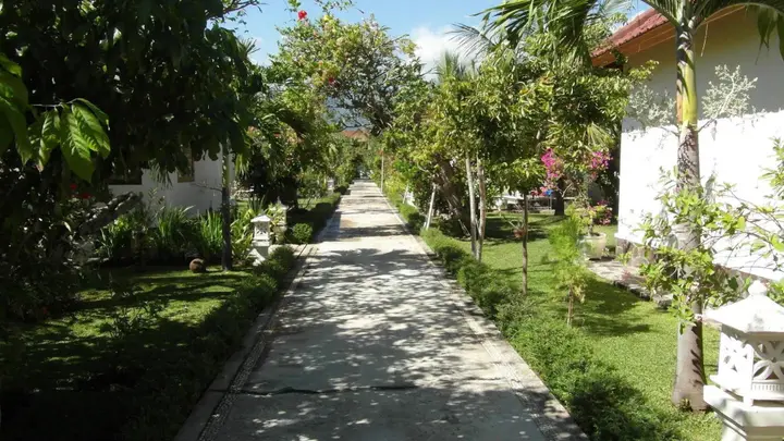 Каликбукбук: Starlight Hotel Lovina
