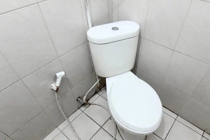 Депок: The Soemarsono Hotel