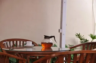 Семаранг: Pandanaran Guest House
