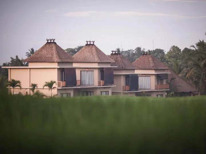 Убуд: Manyi Village
