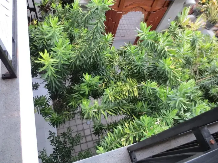 Санур: Putri Homestay