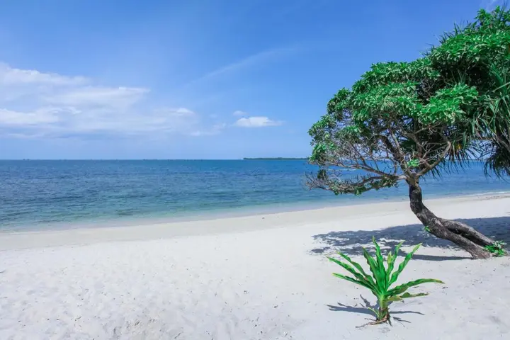 Остров Пеньенгат: Trikora Beach Club & Resort