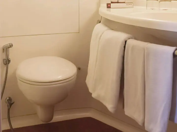 Паданг: ibis Padang Hotel