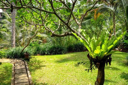 Убуд: The Desa Ubud