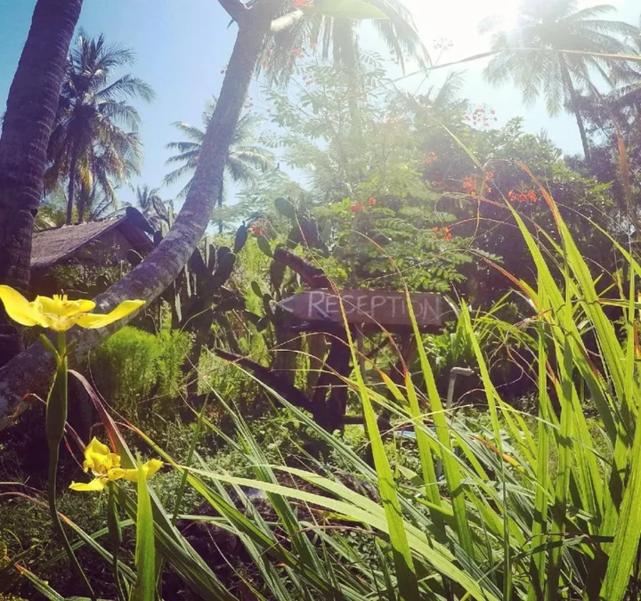 Танджунг: Rinjani Beach Eco Resort