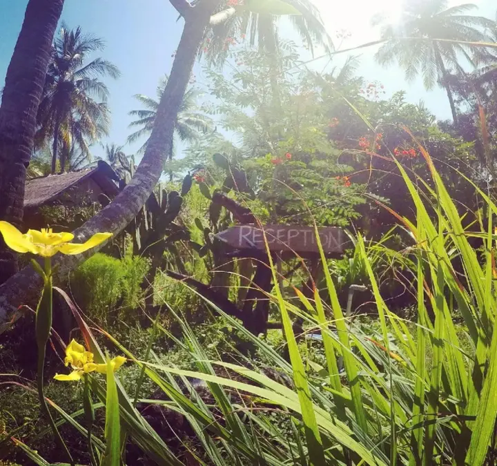 Танджунг: Rinjani Beach Eco Resort