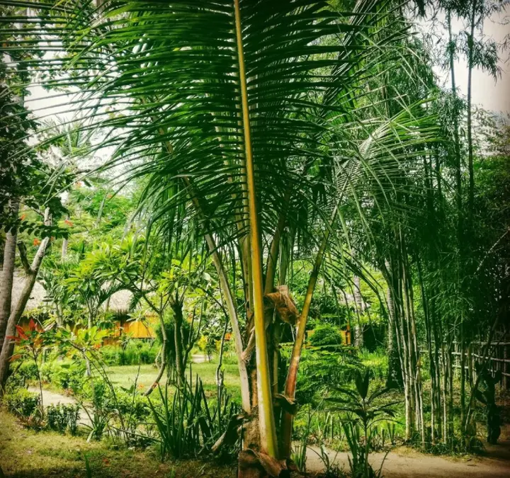Танджунг: Rinjani Beach Eco Resort