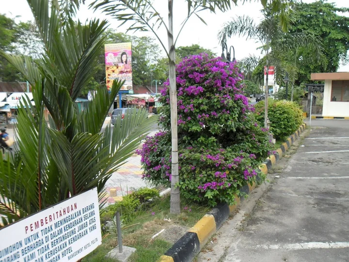 Батам: Cittic Batam Hotel