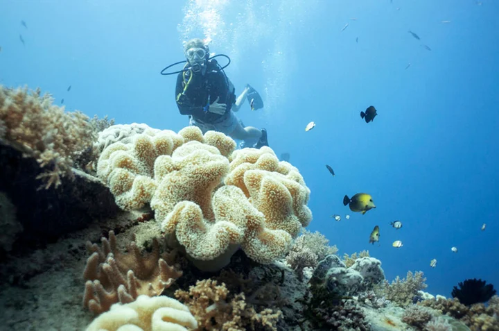 Гили Аир: Manta Dive Resort Gili Air