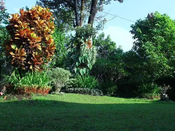 Джокьякарта: Puri Pangeran Hotel Yogyakarta